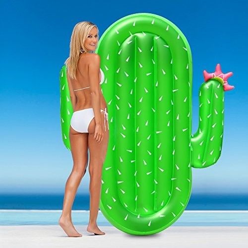 Family Fun Cactus Pool Float Non Phthalate PVC Summer Party Float For Lake